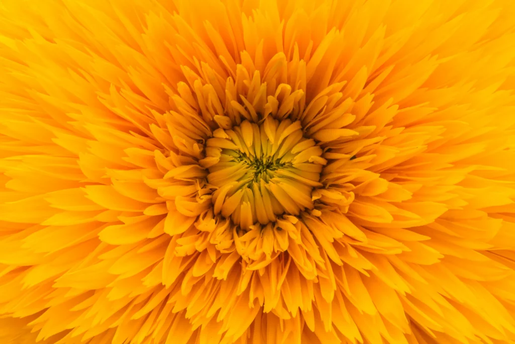 v2osk pq7gigo6ese unsplash (2)