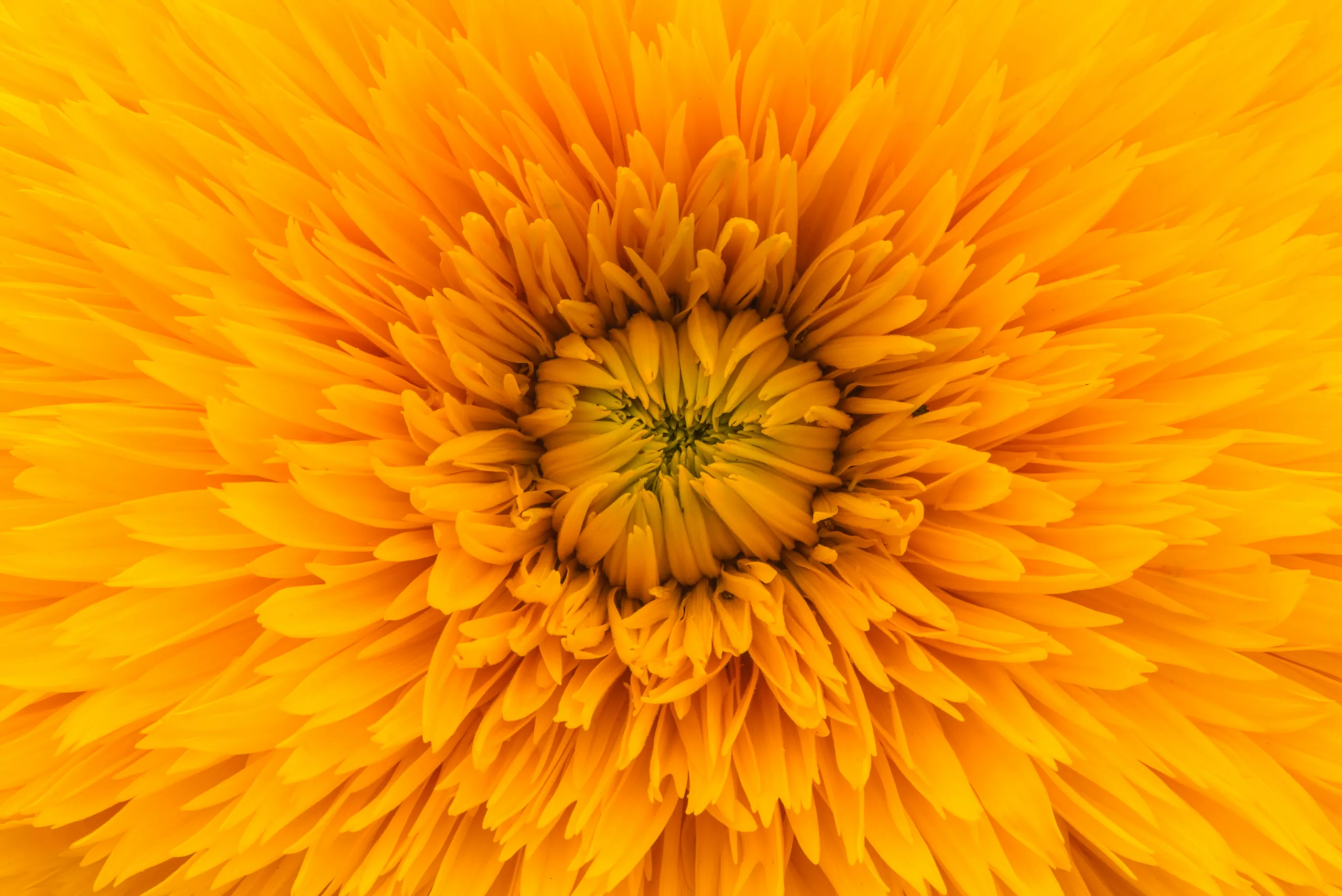 v2osk pq7gigo6ese unsplash (2)